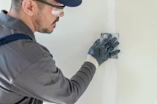 Best Drywall Removal and Disposal  in Lawrencevle, IL